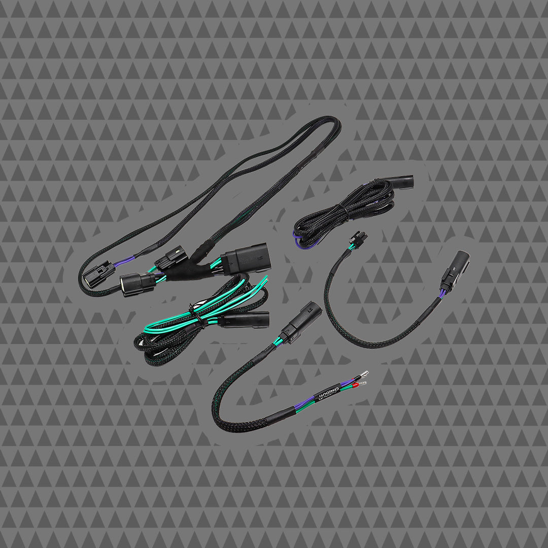 24HDRO 2024+ H-D® Rear Output Speaker Wire Harness
