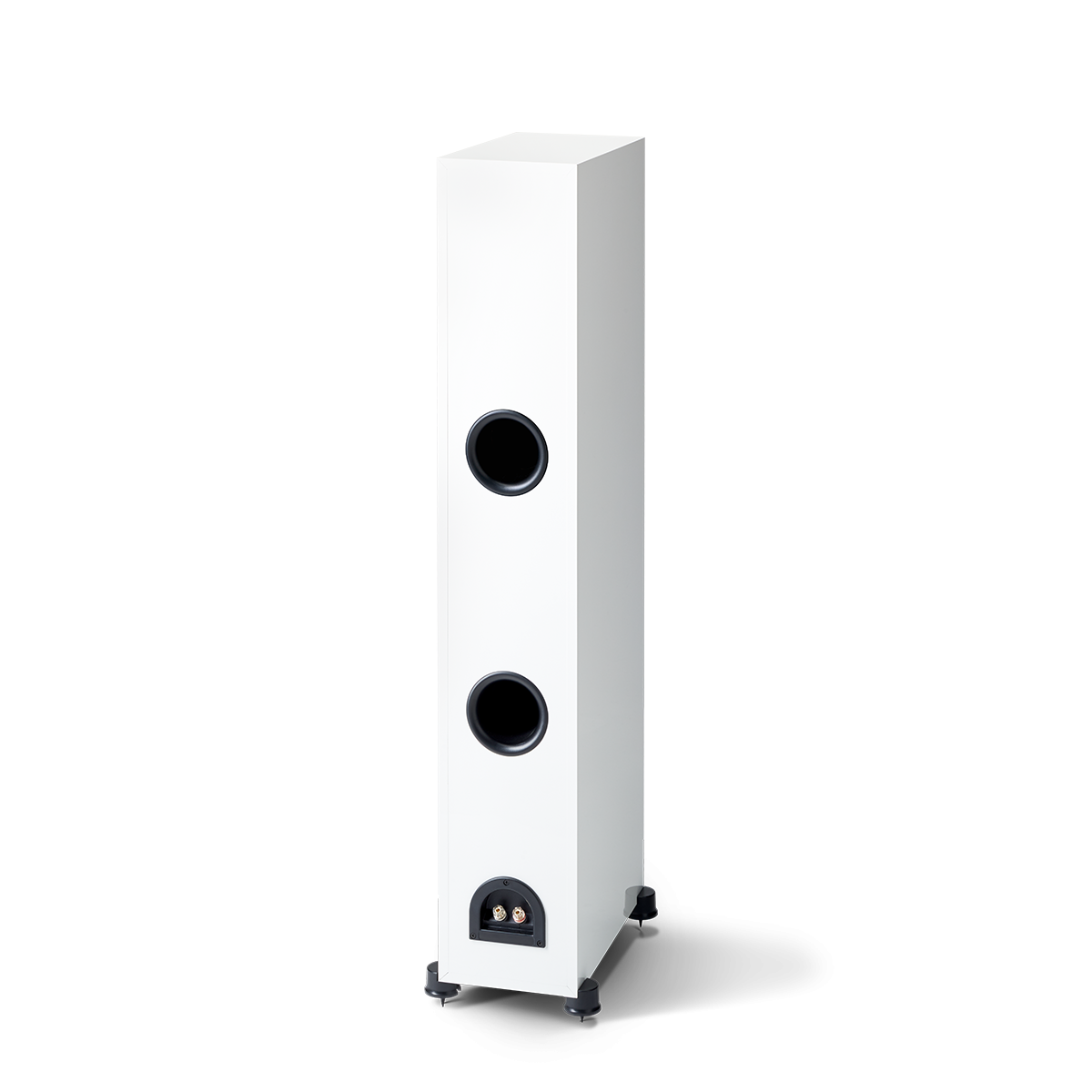 Paradigm Monitor SE 6000F