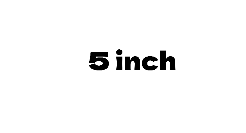 5 Inch Speakers