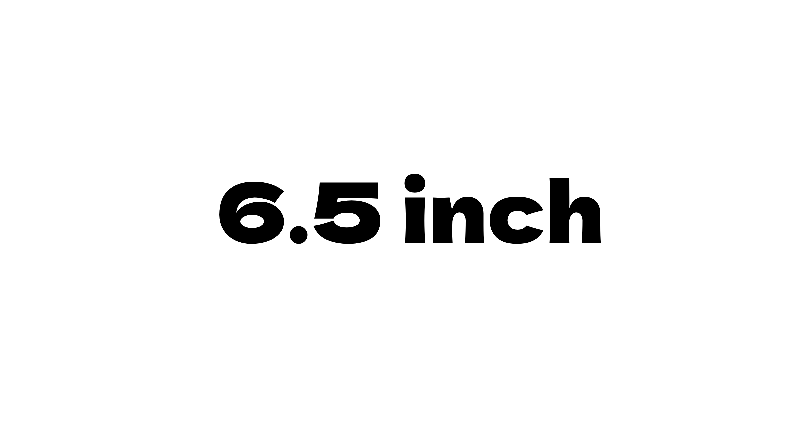 6.5 Inch Speakers