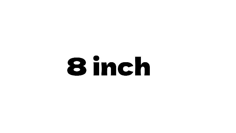 8 Inch Speakers