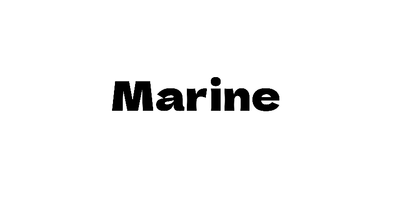 Marine Speakers