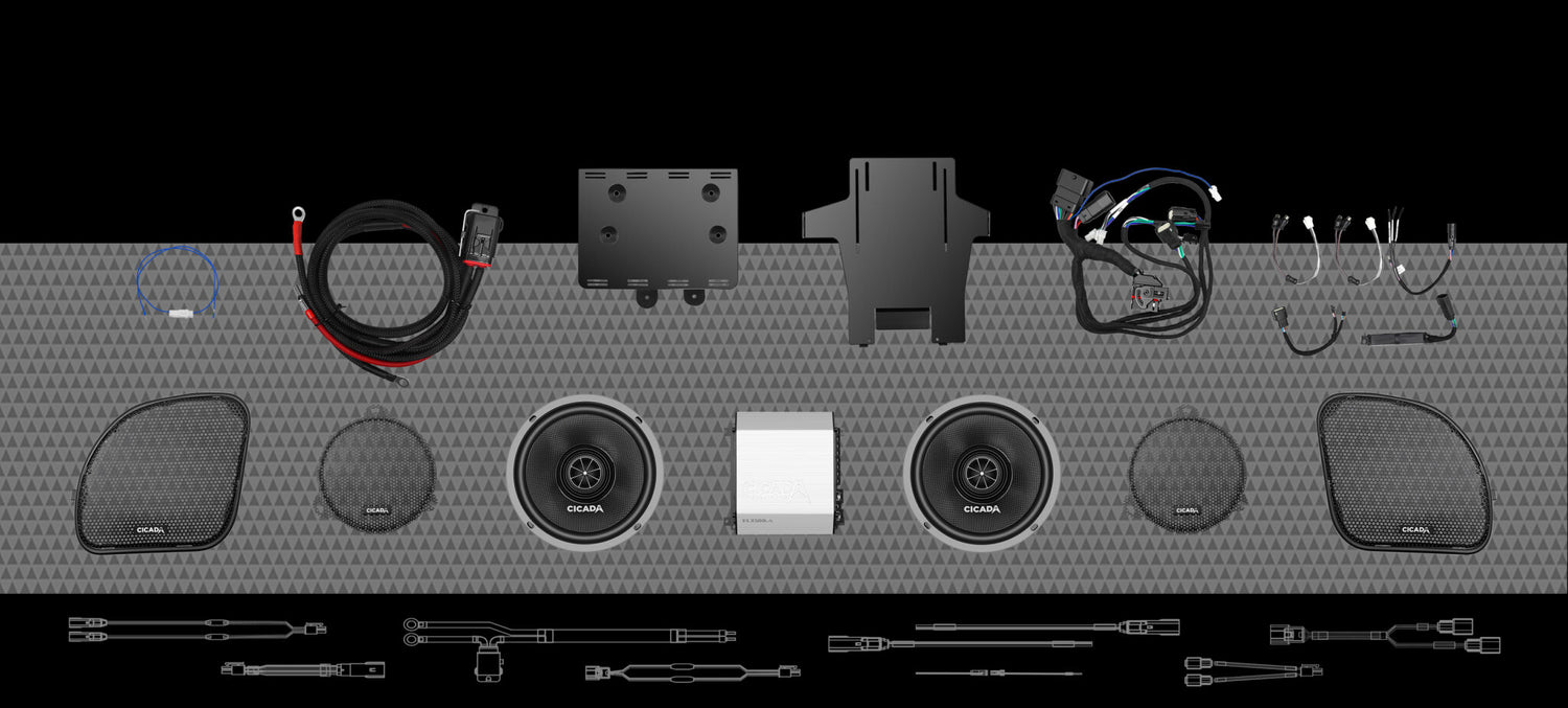 Cicada Audio Speaker