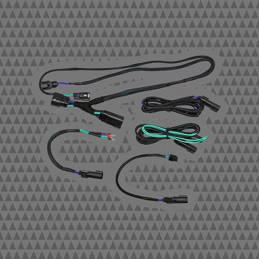24HDRO 2024+ H-D® Rear Output Speaker Wire Harness
