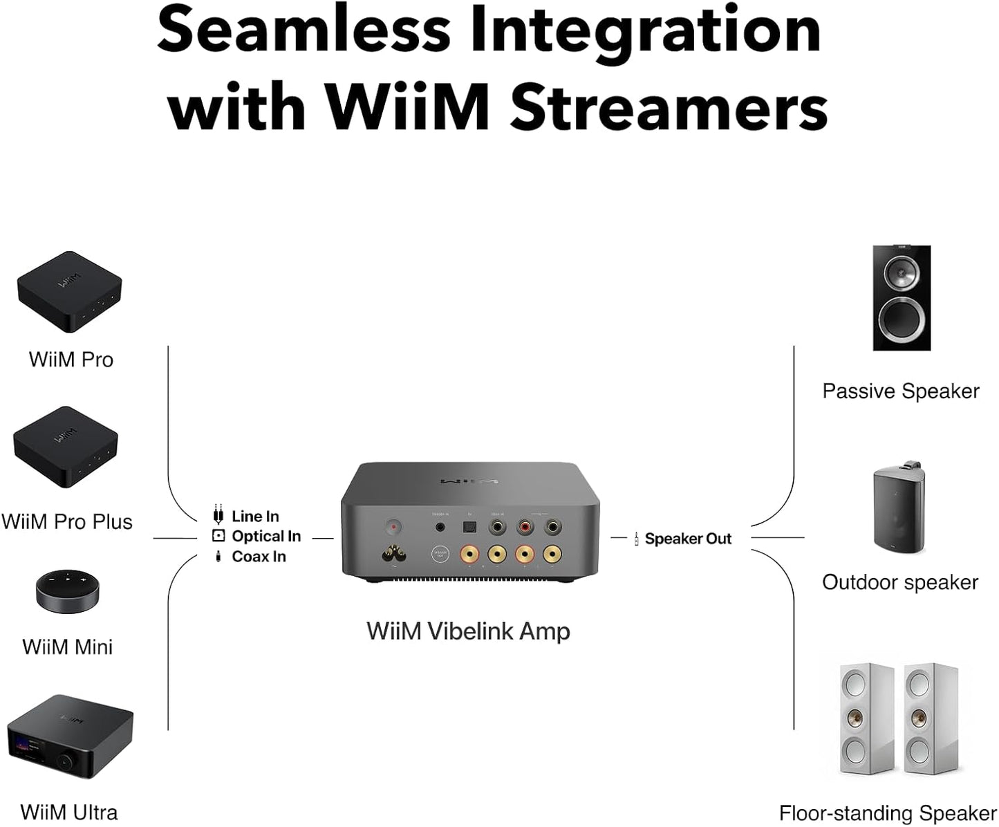 WiiM Vibelink Amp | 100W Power Amplifier with Premium ESS 9039Q2M DAC and TI TPA3255 | Compatible with WiiM Mini, Pro, Pro Plus, and Ultra | RCA, Coax, and Optical Inputs | Space Gray