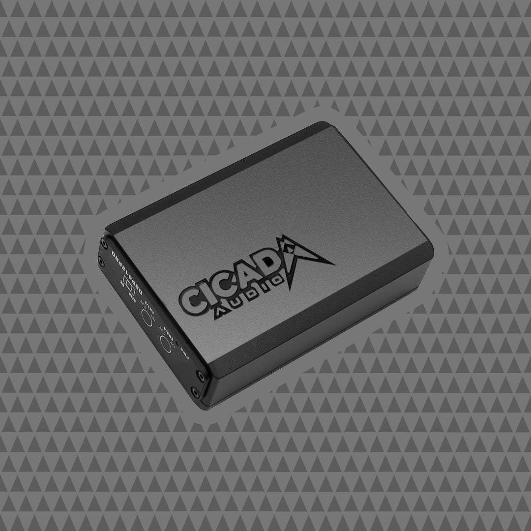 Digital Signal Processor