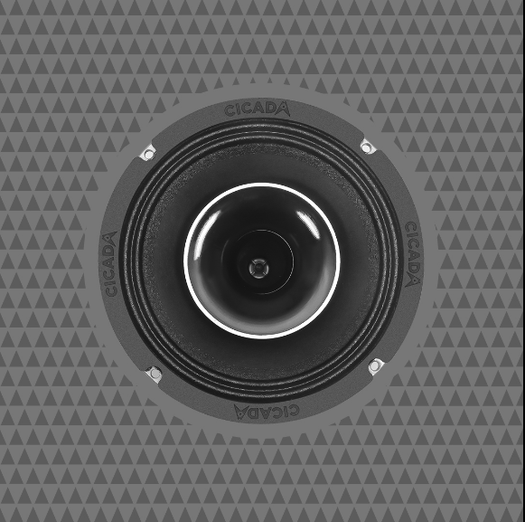 CH65.2v2 6.5-INCH COAXIAL HORN SPEAKERS – 2Ω