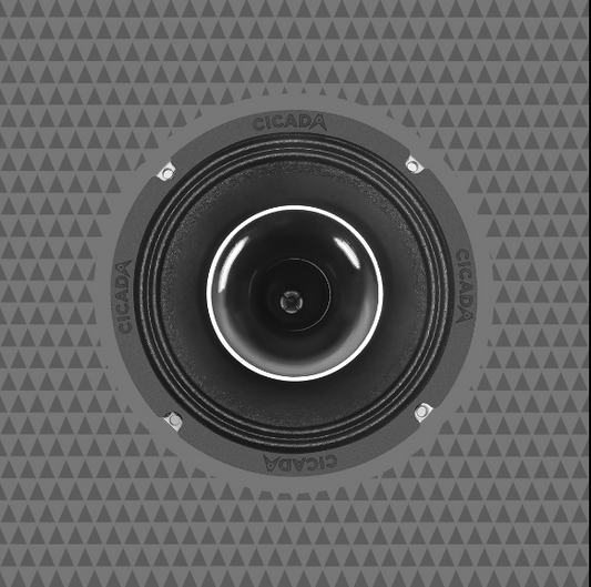 CH65.2v2 6.5-INCH COAXIAL HORN SPEAKERS – 2Ω