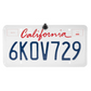 VTL16 Boyo Concealed License Plate Mount Backup Camera