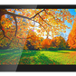 DAX800XR Monitor with Receiver 8” Digital Multimedia Receiver