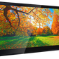 DAX800XR Monitor with Receiver 8” Digital Multimedia Receiver