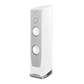 Paradigm Persona 7F (Each)