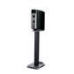 Paradigm Persona B (Each)