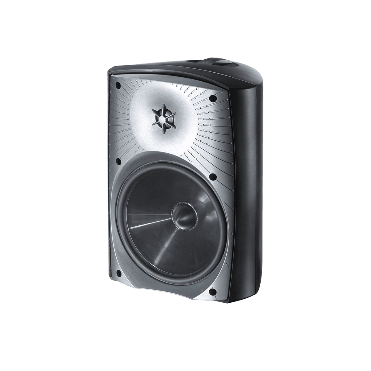 Commercial Speaker
