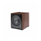 Paradigm XR 11