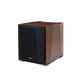 Paradigm XR 13